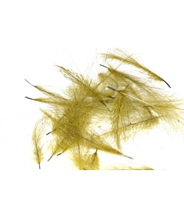 BULK PACK CDC OLIVE
